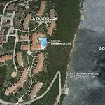 La Tartaruga