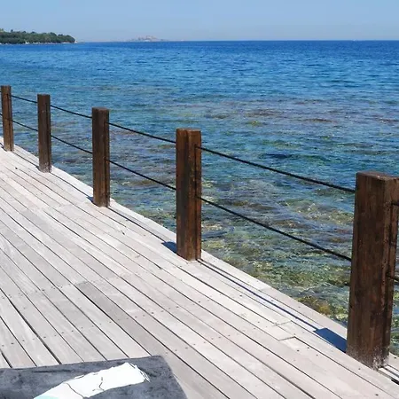 La Tartaruga Apartament