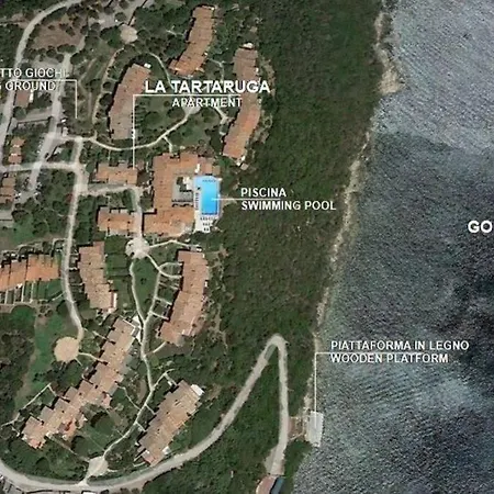 La Tartaruga