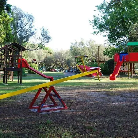 La Tartaruga *