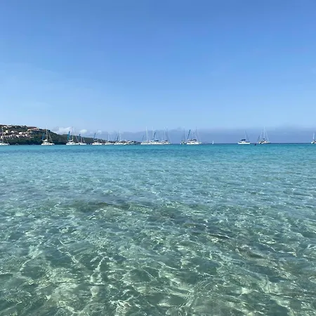 La Tartaruga *